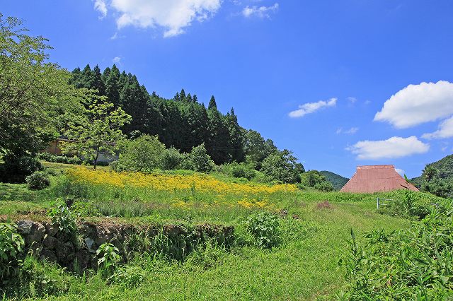 a0242438_223234.jpg