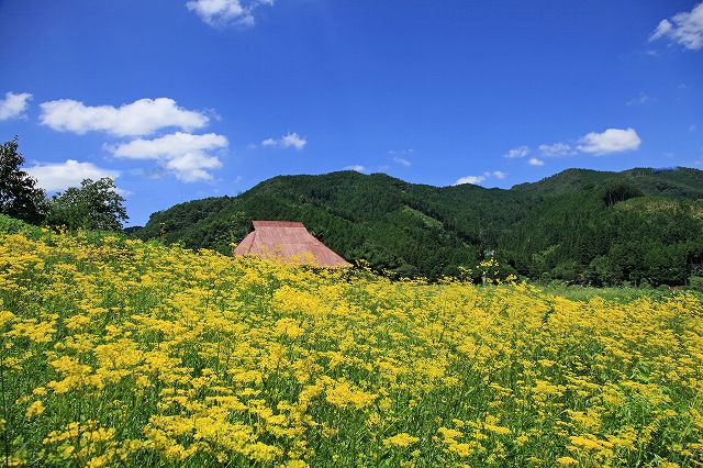 a0242438_2233898.jpg
