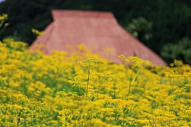 a0242438_2241432.jpg