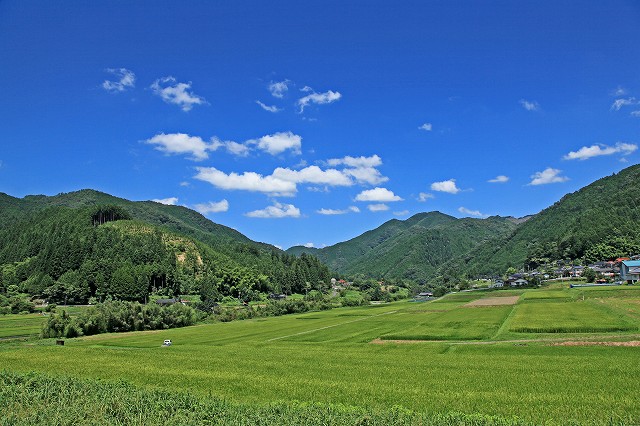 a0242438_2242724.jpg