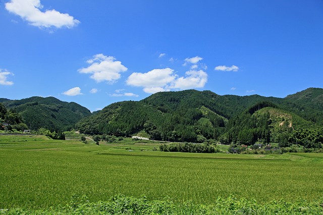 a0242438_2243743.jpg
