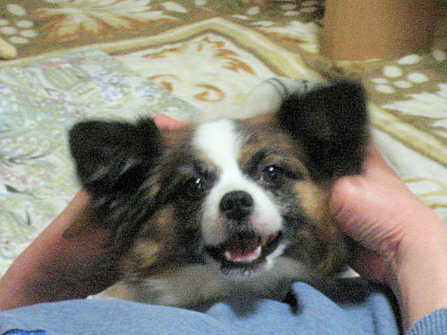 a0149240_17595058.jpg