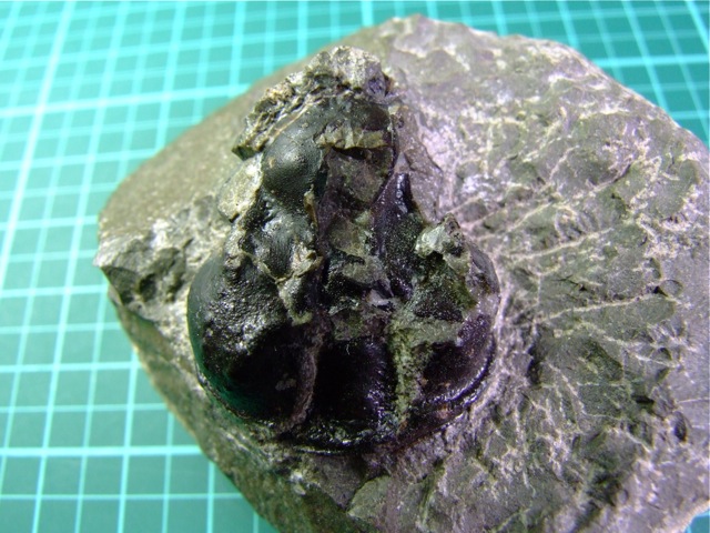 e0290546_15514050.jpg