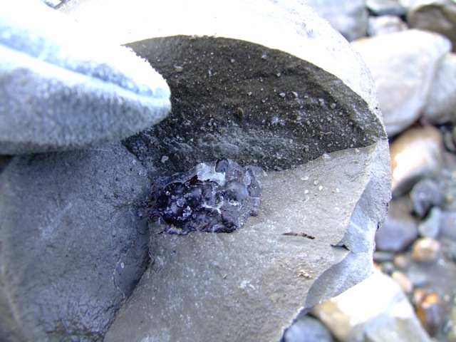 e0290546_15514384.jpg