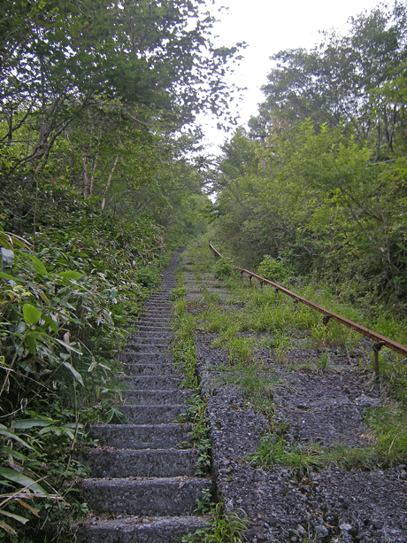 a0001354_2342491.gif