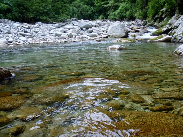 b0177355_1727571.jpg