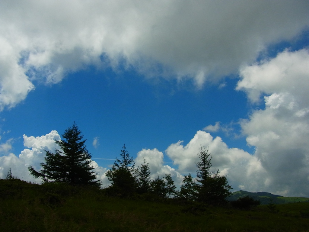 e0223456_8382587.jpg
