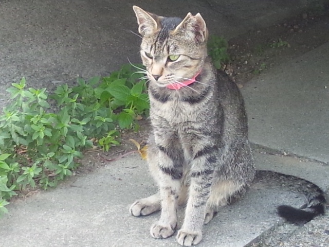 b0253057_1054088.jpg