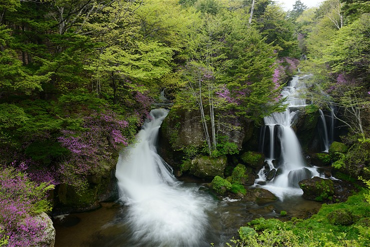 f0222161_14505858.jpg