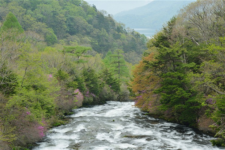 f0222161_1451392.jpg