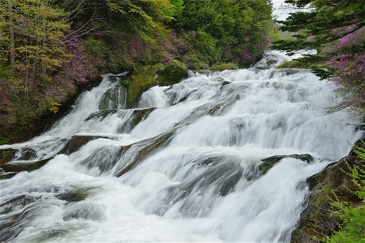 f0222161_14514444.jpg