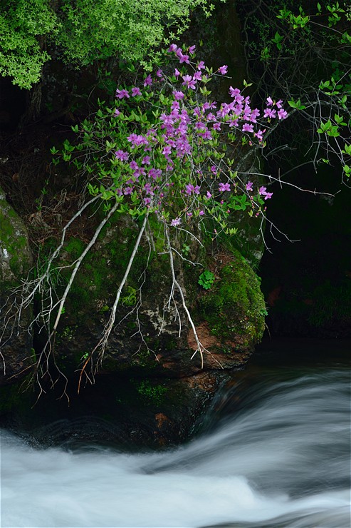 f0222161_14514927.jpg