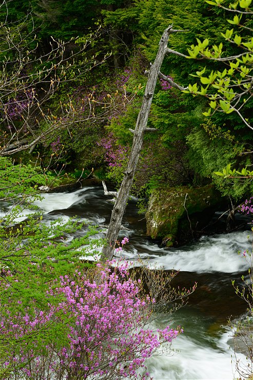f0222161_14515672.jpg