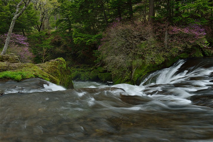 f0222161_15162066.jpg
