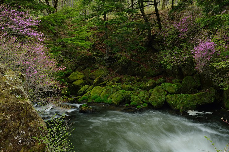 f0222161_15164126.jpg