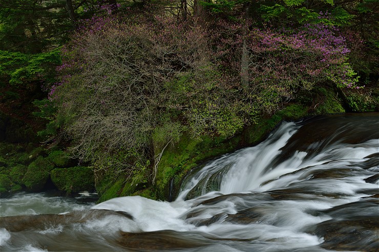 f0222161_15164987.jpg
