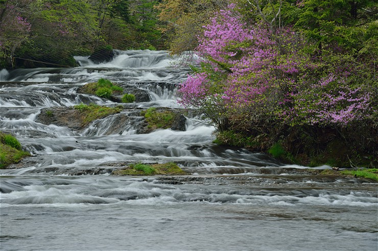 f0222161_15165212.jpg