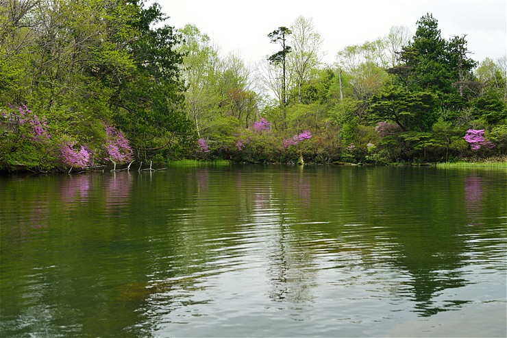 f0222161_15434091.jpg