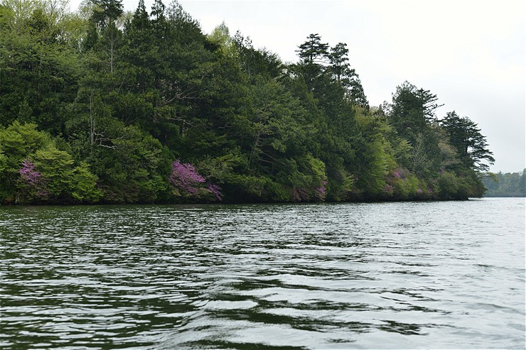 f0222161_15435650.jpg