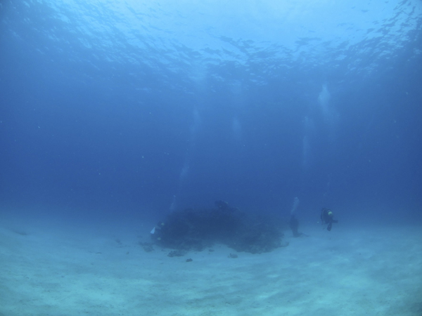 b0062363_1652961.jpg