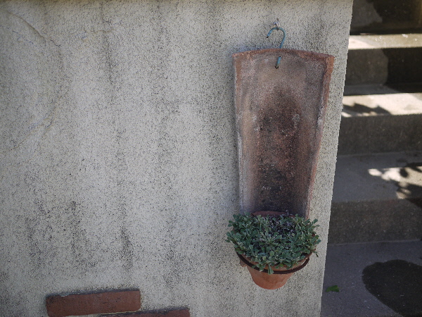 e0138066_23164390.jpg