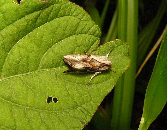 d0019074_5463570.jpg