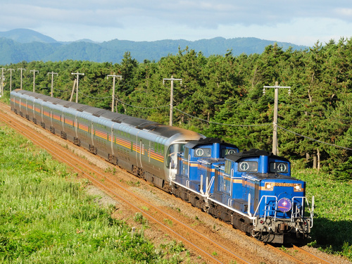 f0130376_815353.jpg