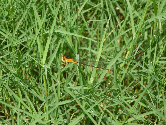 f0198186_12463424.jpg