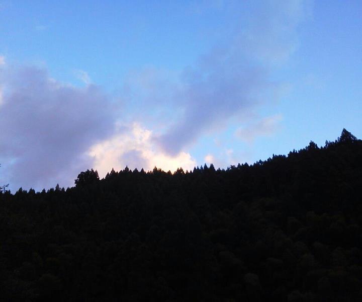 a0263593_1828393.jpg