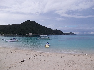a0252596_17351029.jpg