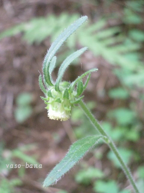 e0025300_17114331.jpg