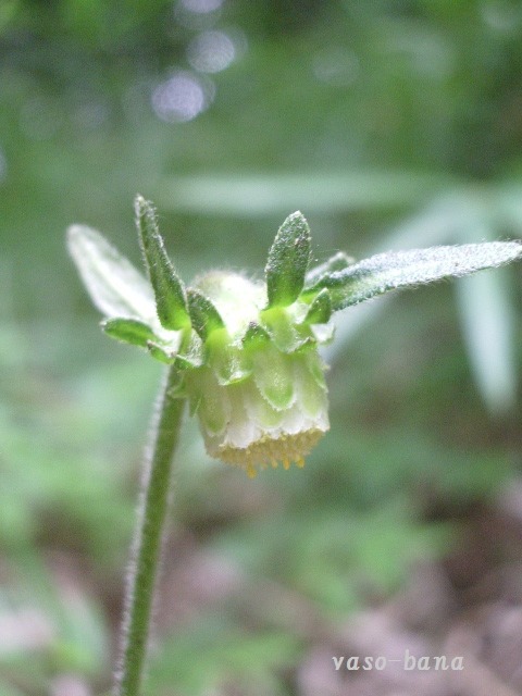 e0025300_1719262.jpg