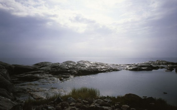 c0072801_2254424.jpg