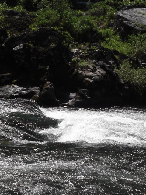 a0121502_14335085.jpg