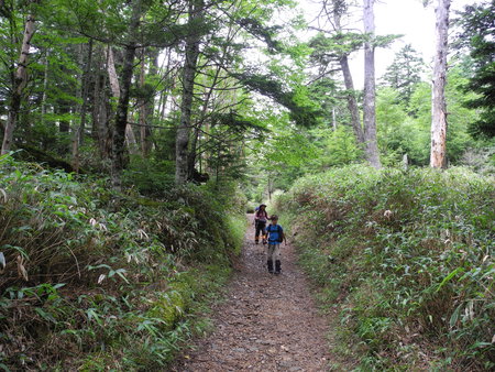 a0158802_236151.jpg