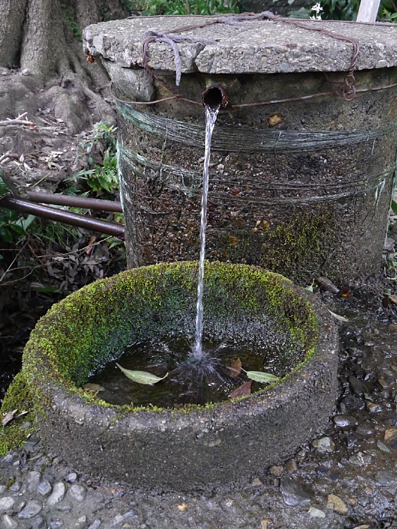 c0187503_2152144.jpg