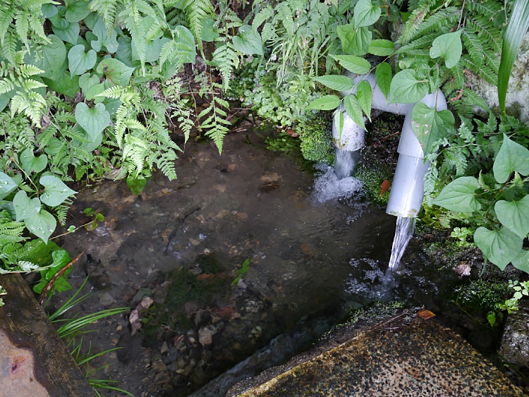 c0187503_2191752.jpg