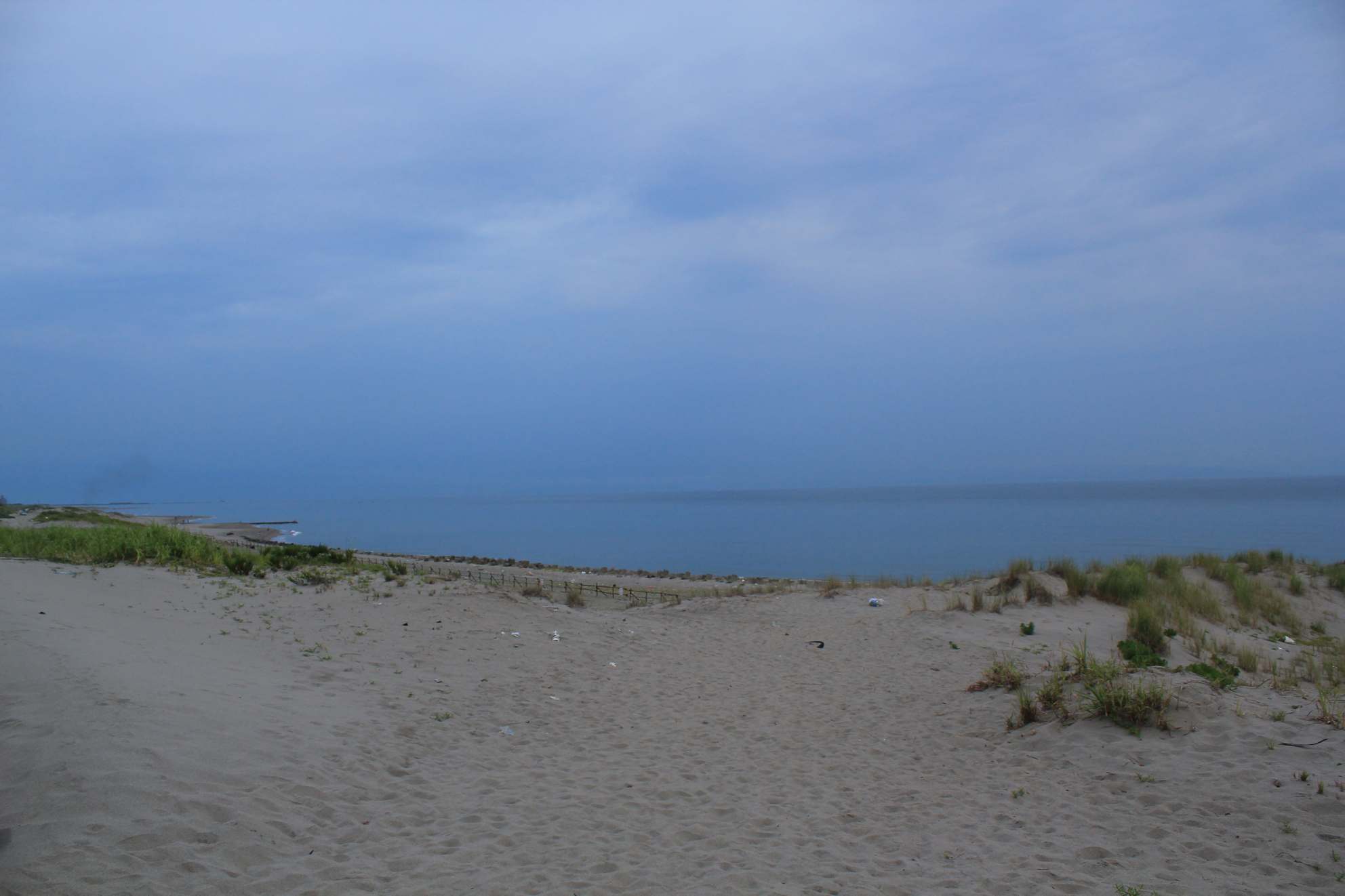 a0264604_7465068.jpg