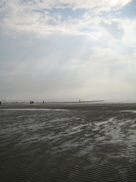e0211204_6333081.jpg