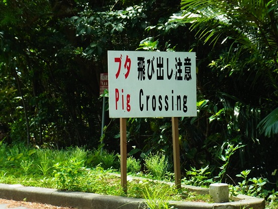 c0205806_2174449.jpg