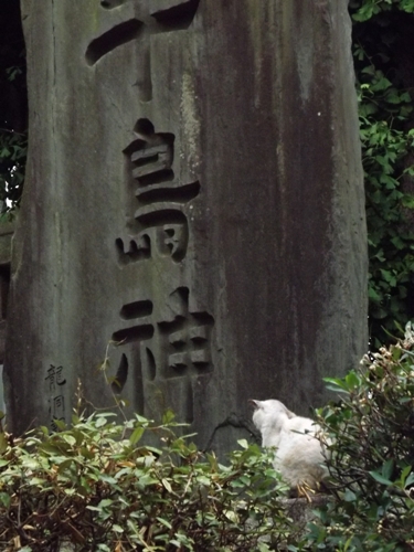 c0158916_821761.jpg