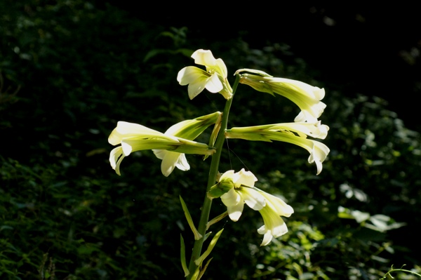 c0042418_903499.jpg