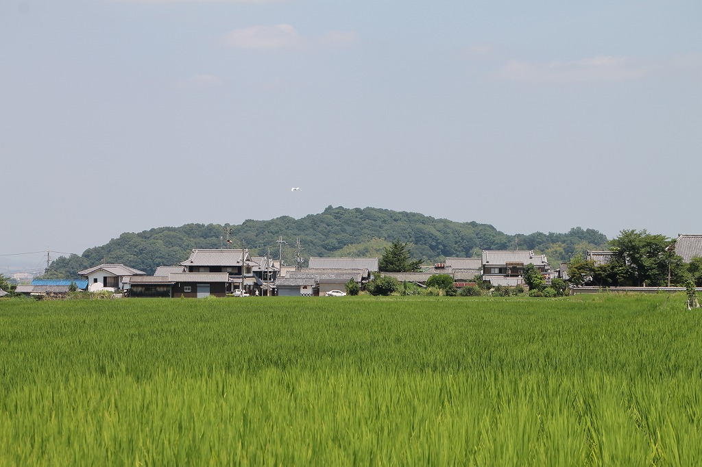b0162728_16544034.jpg
