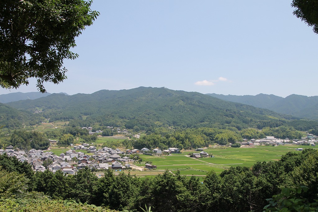 b0162728_16555849.jpg