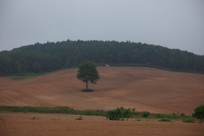 b0074329_16433137.jpg