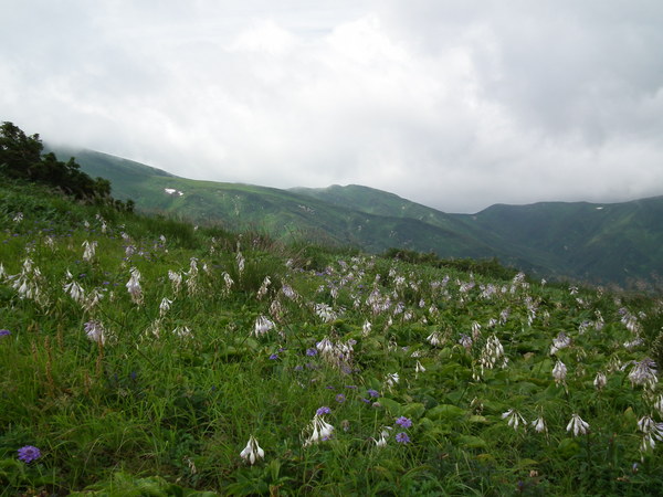 f0118332_11215791.jpg