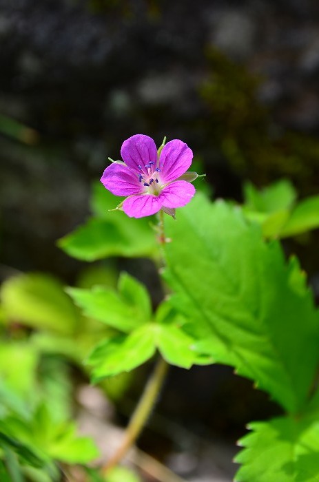 b0236334_2072592.jpg