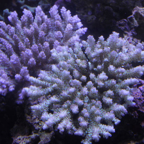 d0221436_21174493.jpg