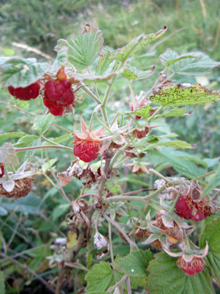f0234936_23324686.jpg