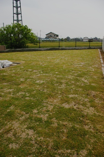 c0027639_9182386.jpg